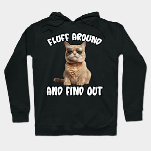 Cat Fluff Around and Find Out Hoodie